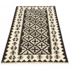 El Dokuma Kilim Fars 152684 - 101 × 149