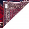 Sirjan Rug Ref 130220