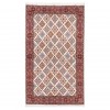 Jowshaqan Rug Ref 174808