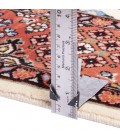 Jowshaqan Rug Ref 174808