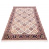 Jowshaqan Rug Ref 174809