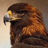 Ковровые Картины ручной работы Тебриз Код 903895