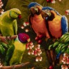 イランの手作り絵画絨毯 タブリーズ 番号 903910