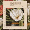 Tappeto persiano Tabriz a disegno pittorico codice 903951