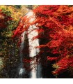 تابلو فرش دستباف منظره آبشار تبریز کد 904317