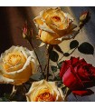 تابلو فرش دستباف گل رز در گلدان بلوری تبریز کد 904343