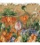 Pictorial Tabriz Carpet Ref: 901101