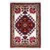 Tapis Iranien Fait Main Bakhtiari 178050 - 147 × 100