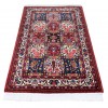 Tapis Iranien Fait Main Bakhtiari 178078 - 151 × 102