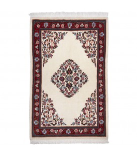 イランの手作りカーペット サロウアク 174387 - 166 × 107