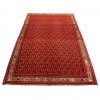 Shiraz Alfombra Ref 179113