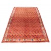 Shiraz Alfombra Ref 179113