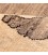 Shiraz Gabbeh Ref 179137