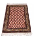 Rug Ref 102209