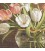 Pictorial Tabriz Carpet Ref : 901271