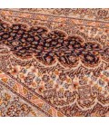 Tappeto persiano Tabriz annodato a mano codice 172100 - 66 × 103