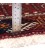 Turkmens Rug Ref 141806