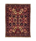 Jozan Rug Ref 184026