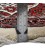 Bijar Afshar Rug Ref 183099