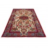 Tapis persan Nahavand fait main Réf ID 185005 - 155 × 250