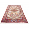 Tapis persan Nahavand fait main Réf ID 185005 - 155 × 250