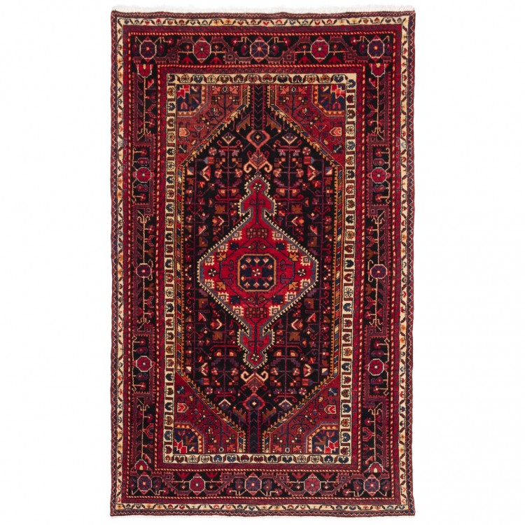 Tapis persan Tuyserkan fait main Réf ID 185020 - 143 × 234