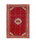 Hoseynabad Rug Ref 185106