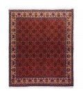 Bijar Rug Ref 160033