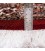 Bijar Rug Ref 160038