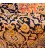 Kashan Alfombera Persa  Ref 102436