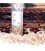 ALFOMBRA  REF  161011
