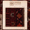 Tapis persan Baluch fait main Réf ID 188061 - 98 × 183