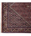 Bijar Rug Ref 187018