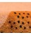 Qashqaie Rug Ref 161025