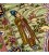 Tabriz Alfombera Persa  Ref 187250
