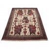 Sirjan Rug Ref 187231