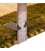 Fars Alfombera Persa Gabbeh Ref 122042