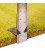Fars Alfombera Persa Gabbeh Ref 122089