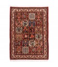 bakhtiar Rug Ref 162027