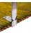 Fars Alfombera Persa Gabbeh Ref 122109