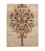 Fars Alfombera Persa Gabbeh Ref 122126