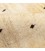 Fars Alfombera Persa Gabbeh Ref 122150
