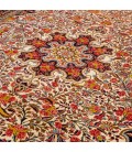 Tappeto persiano Bijar annodato a mano codice 705002 - 218 × 302