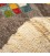 Fars Gabbeh Ref 122277