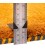Fars Gabbeh Ref 122181