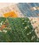 Fars Alfombera Persa Gabbeh Ref 122216