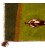 Fars Gabbeh Ref 122325
