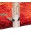 Fars Gabbeh Ref 123004