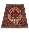 Hamedan Rug Ref 123116