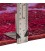 Tapis persan vintage fait main Réf ID 813021 - 202 × 308